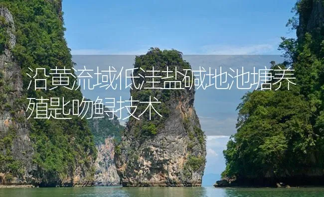 沿黄流域低洼盐碱地池塘养殖匙吻鲟技术 | 海水养殖技术