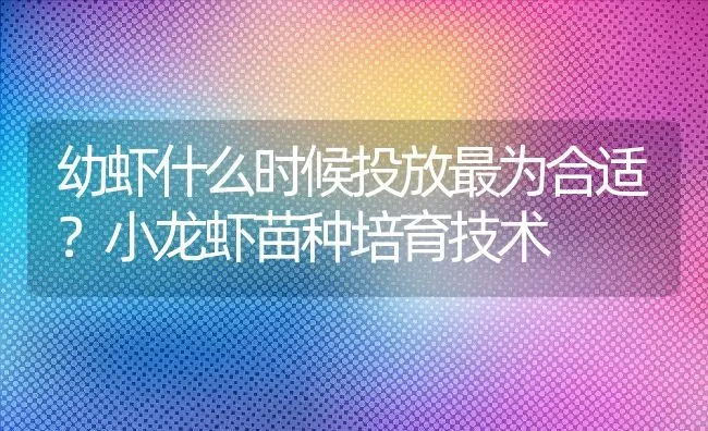 幼虾什么时候投放最为合适？小龙虾苗种培育技术 | 动物养殖百科