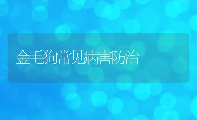 金毛狗常见病害防治 | 水产养殖知识