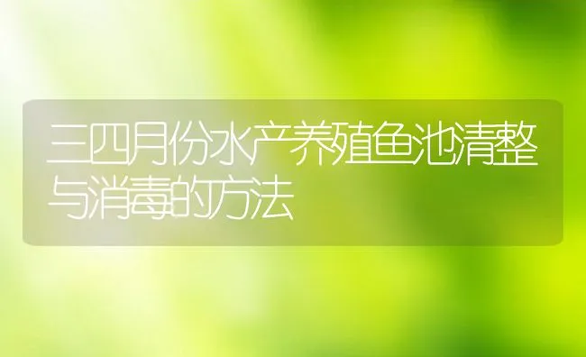 三四月份水产养殖鱼池清整与消毒的方法 | 动物养殖饲料