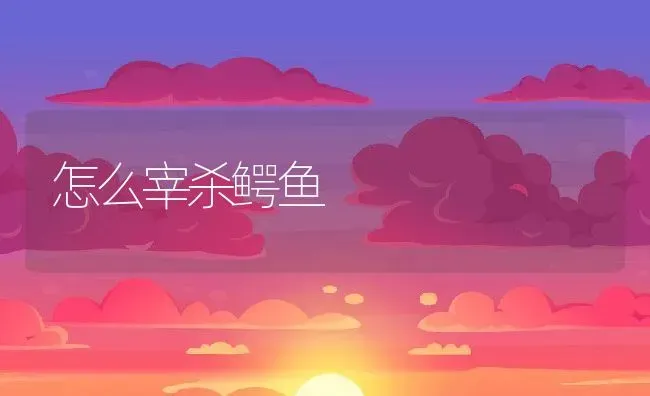 怎么宰杀鳄鱼 | 动物养殖百科