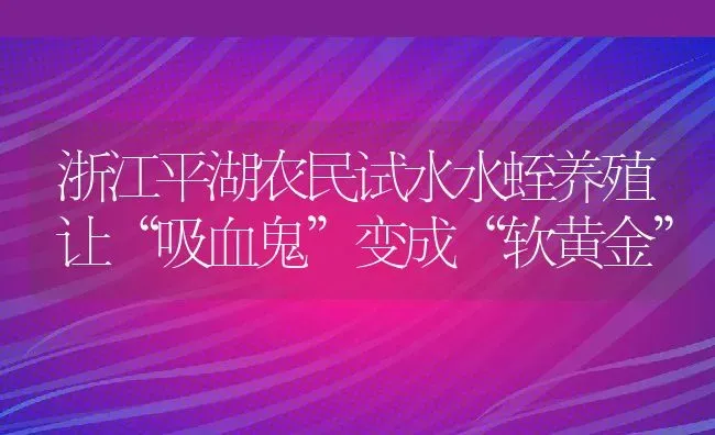 浙江平湖农民试水水蛭养殖让“吸血鬼”变成“软黄金” | 动物养殖教程