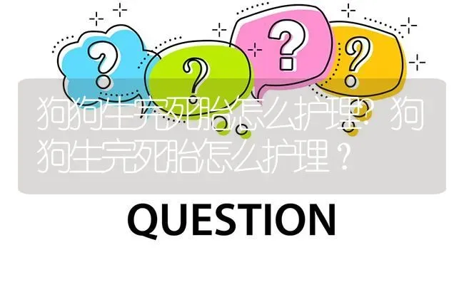 狗狗生完死胎怎么护理?狗狗生完死胎怎么护理？ | 动物养殖问答