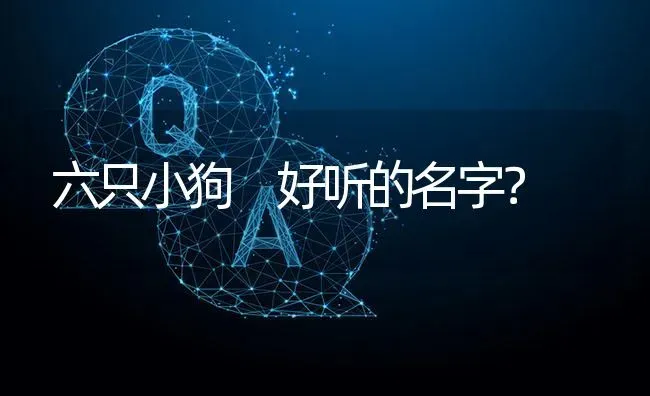 六只小狗 好听的名字？ | 动物养殖问答