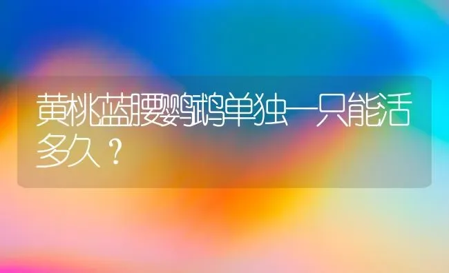 黄桃蓝腰鹦鹉单独一只能活多久？ | 动物养殖问答