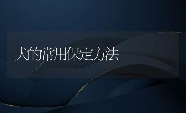 犬的常用保定方法 | 水产养殖知识