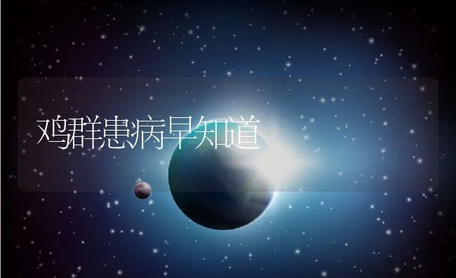 鸡群患病早知道 | 动物养殖学堂