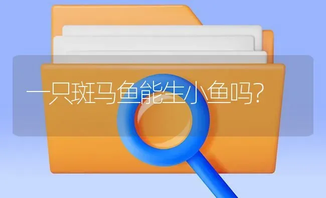 一只斑马鱼能生小鱼吗？ | 鱼类宠物饲养