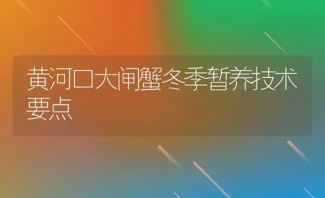 黄河口大闸蟹冬季暂养技术要点 | 动物养殖教程