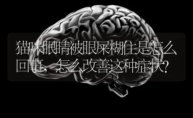 猫咪眼睛被眼屎糊住是怎么回事，怎么改善这种症状？ | 动物养殖问答