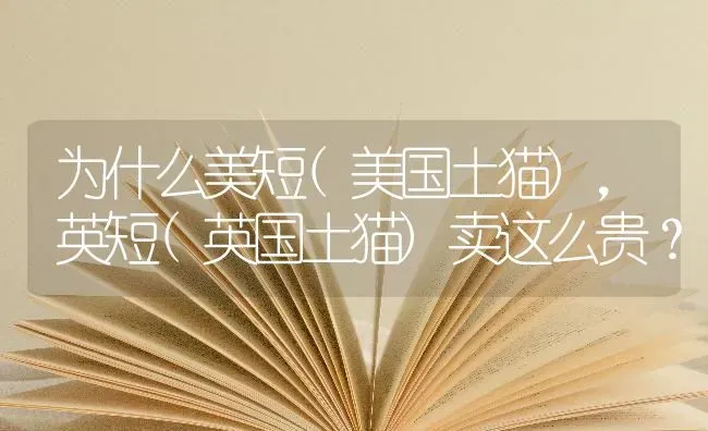 为什么美短(美国土猫)，英短(英国土猫)卖这么贵？ | 动物养殖问答