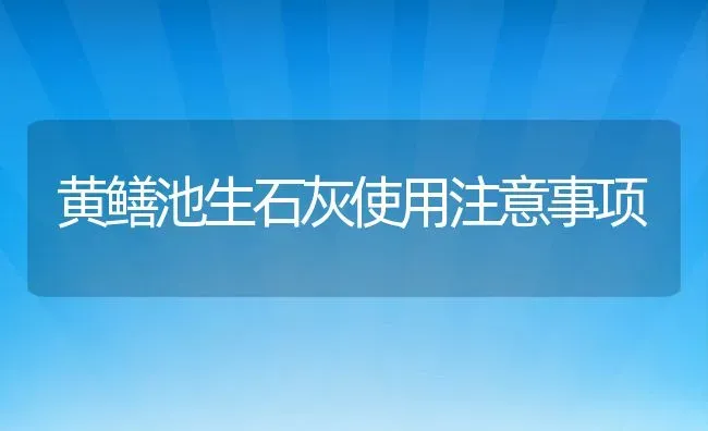 黄鳝池生石灰使用注意事项 | 动物养殖百科