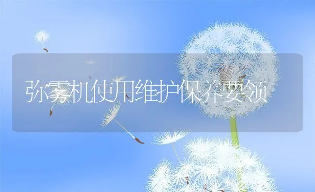 弥雾机使用维护保养要领 | 动物养殖学堂