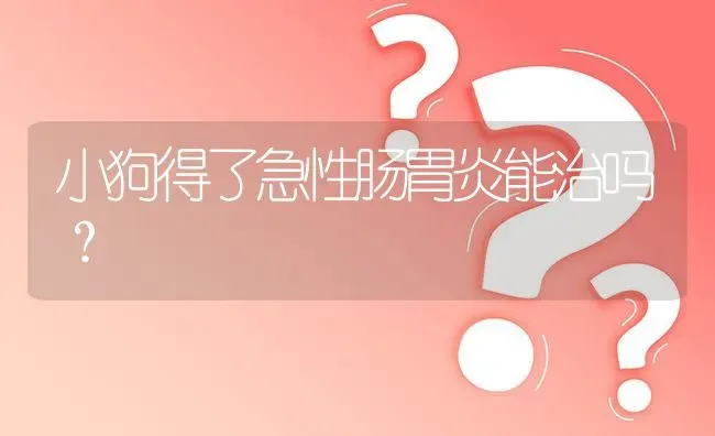 小狗得了急性肠胃炎能治吗？ | 动物养殖问答