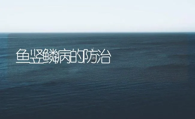 鱼竖鳞病的防治 | 海水养殖技术