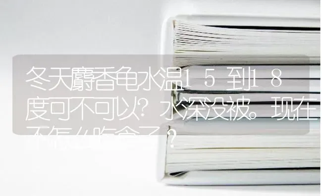 冬天麝香龟水温15到18度可不可以?水深没被。现在不怎么吃食了？ | 动物养殖问答