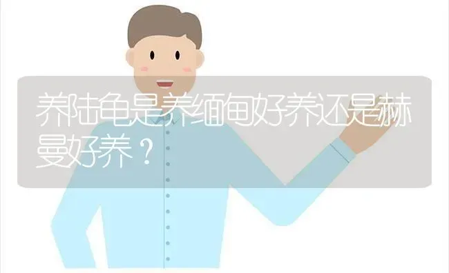 黄边太阳鹦鹉的智商怎么样？ | 动物养殖问答