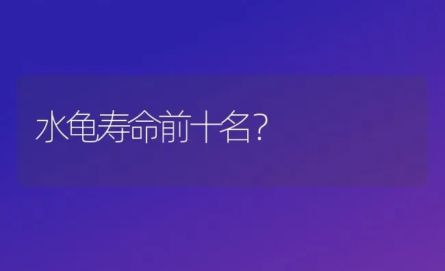 水龟寿命前十名？ | 动物养殖问答