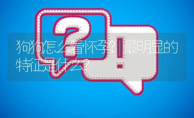 狗狗怎么看怀孕?最明显的特征是什么？ | 动物养殖问答