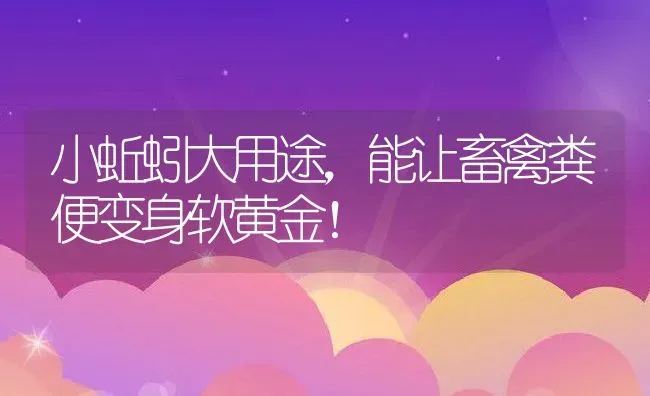 小蚯蚓大用途，能让畜禽粪便变身软黄金！ | 动物养殖百科