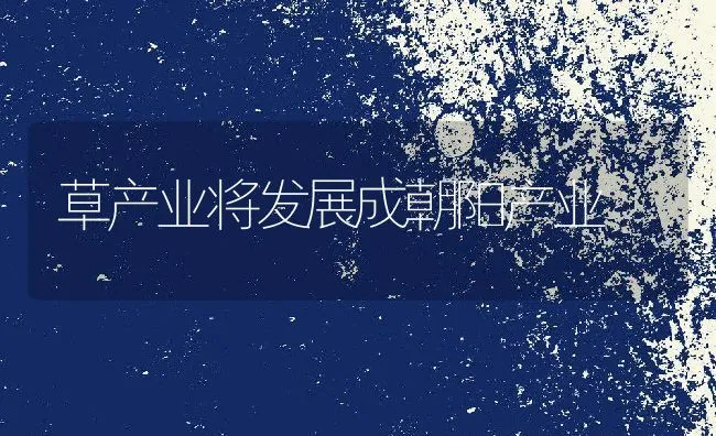 四大家鱼池塘健康养殖技术介绍 | 海水养殖技术