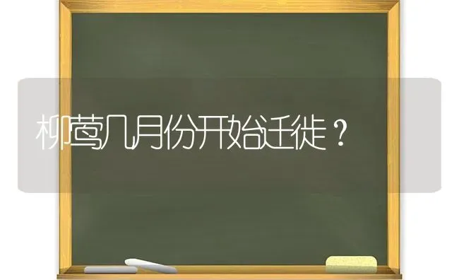 柳莺几月份开始迁徙？ | 动物养殖问答