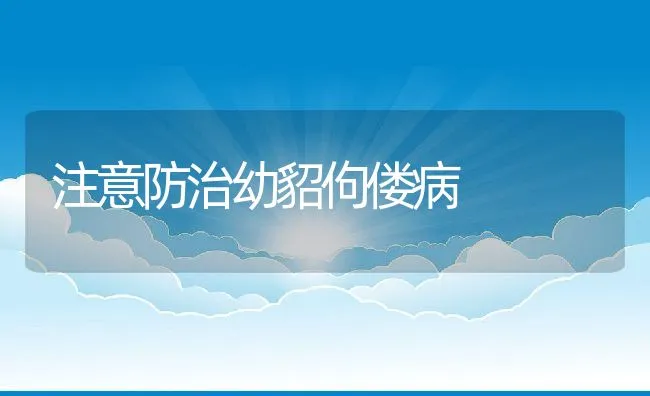 注意防治幼貂佝偻病 | 动物养殖学堂