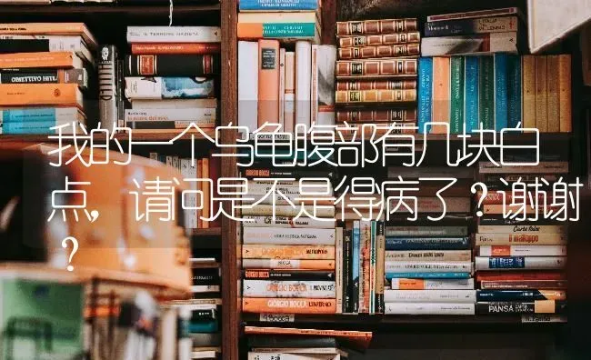 我的一个乌龟腹部有几块白点，请问是不是得病了？谢谢？ | 动物养殖问答