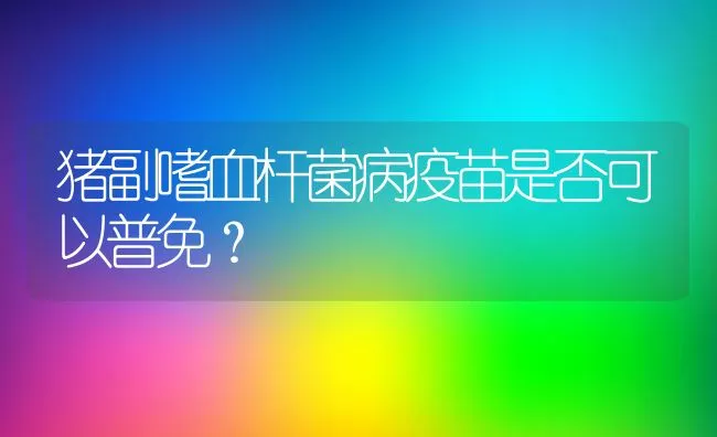 猪副嗜血杆菌病疫苗是否可以普免？ | 动物养殖学堂