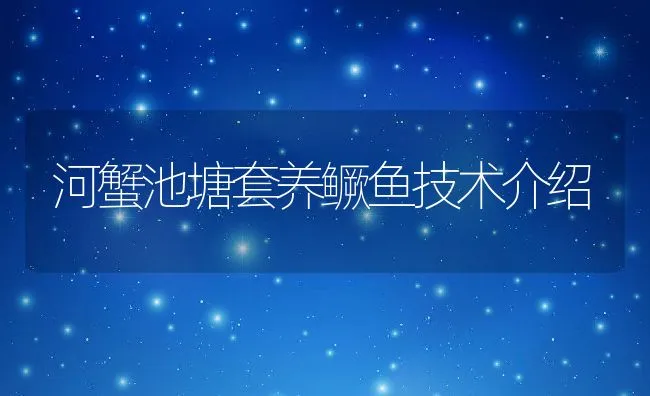 河蟹池塘套养鳜鱼技术介绍 | 动物养殖饲料