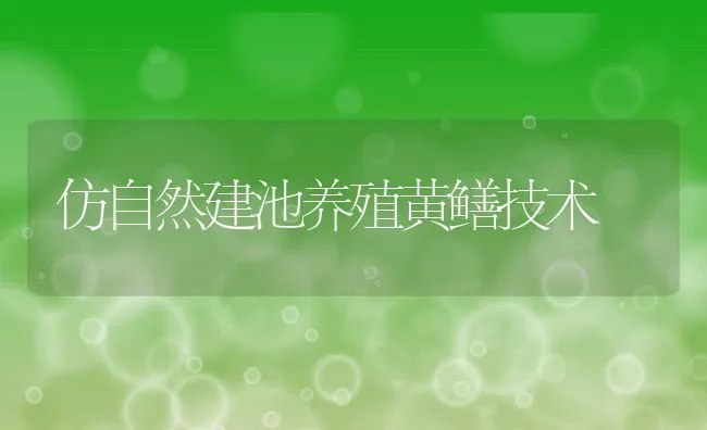 仿自然建池养殖黄鳝技术 | 动物养殖饲料