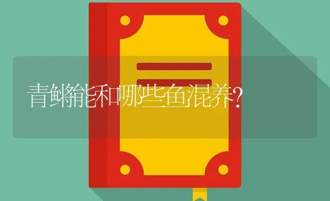 青鳉能和哪些鱼混养？ | 鱼类宠物饲养