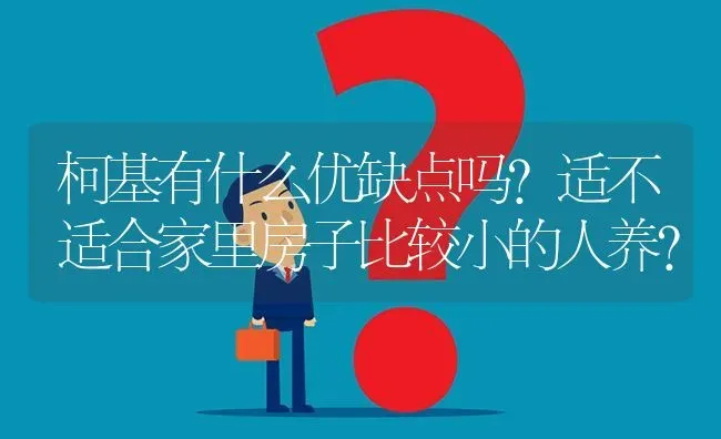 柯基有什么优缺点吗？适不适合家里房子比较小的人养？ | 动物养殖问答