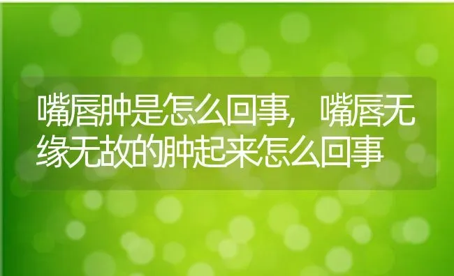 嘴唇肿是怎么回事,嘴唇无缘无故的肿起来怎么回事 | 宠物百科知识