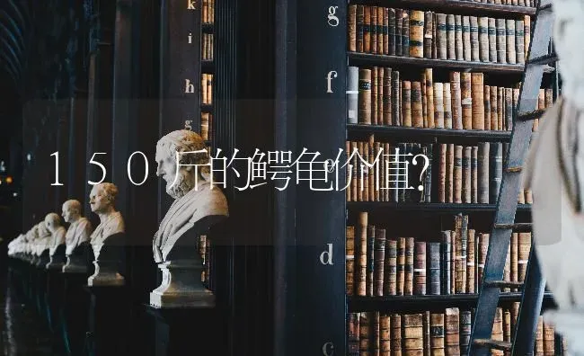 兔子是睁开眼就能看见了吗？ | 动物养殖问答