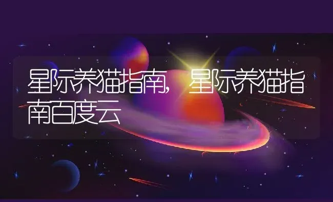 星际养猫指南,星际养猫指南百度云 | 宠物百科知识