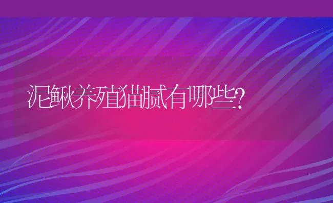 泥鳅养殖猫腻有哪些？ | 动物养殖百科