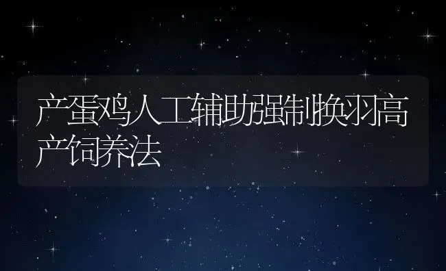 产蛋鸡人工辅助强制换羽高产饲养法 | 动物养殖教程