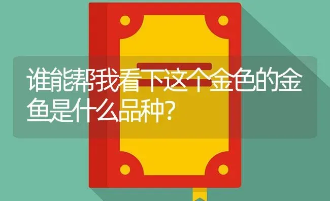 谁能帮我看下这个金色的金鱼是什么品种？ | 鱼类宠物饲养