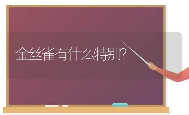 金丝雀有什么特别？ | 动物养殖问答