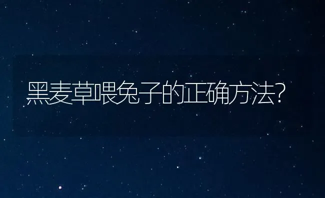 黑麦草喂兔子的正确方法？ | 动物养殖问答