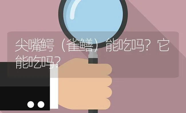 尖嘴鳄（雀鳝）能吃吗？它能吃吗？ | 鱼类宠物饲养