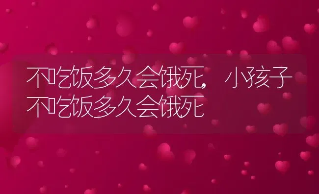 不吃饭多久会饿死,小孩子不吃饭多久会饿死 | 宠物百科知识