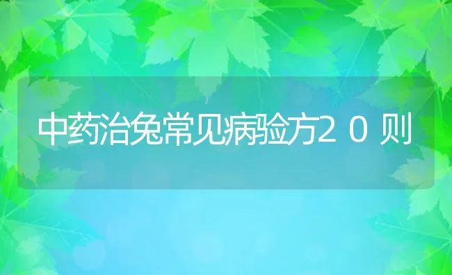 中药治兔常见病验方20则 | 动物养殖学堂