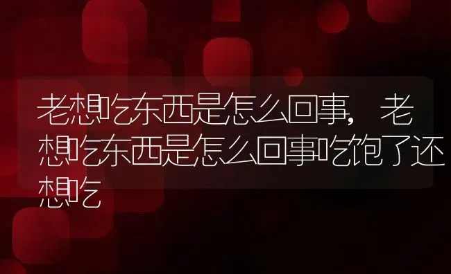 老想吃东西是怎么回事,老想吃东西是怎么回事吃饱了还想吃 | 宠物百科知识