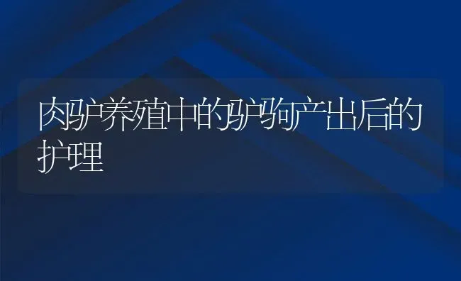 肉驴养殖中的驴驹产出后的护理 | 动物养殖教程