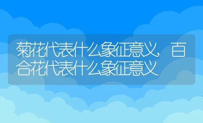 菊花代表什么象征意义,百合花代表什么象征意义 | 宠物百科知识