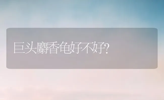 一般犬瘟热初期开始治疗，治疗多长时间狗狗可以痊愈？ | 动物养殖问答