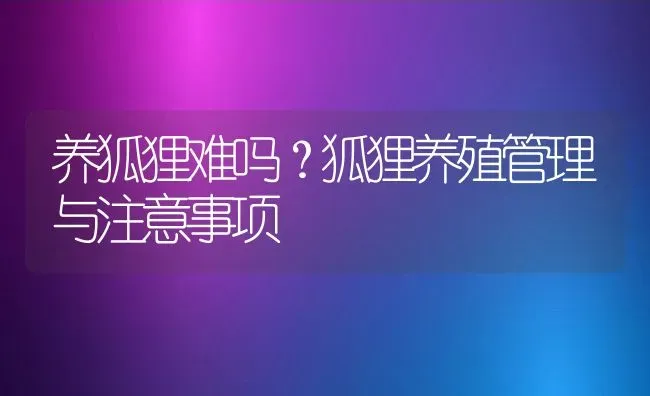 养狐狸难吗？狐狸养殖管理与注意事项 | 动物养殖百科