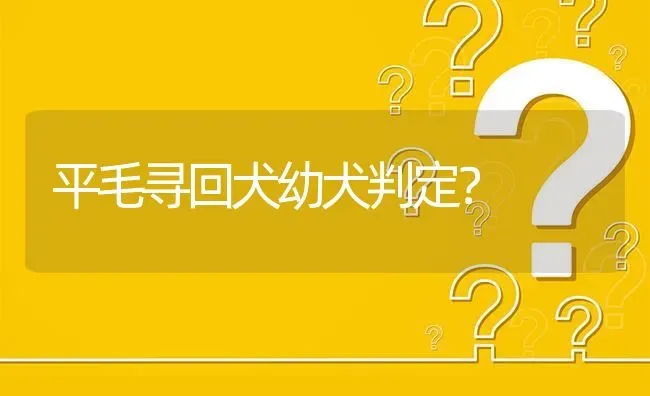 平毛寻回犬幼犬判定？ | 动物养殖问答